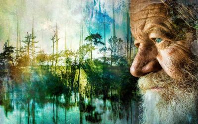 İnvitro Care > Yaşlı Bakımı