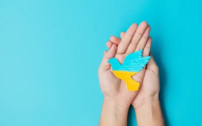 Twitter Yetişkin İçerik Uyarısı Nasıl Kaldırılır?